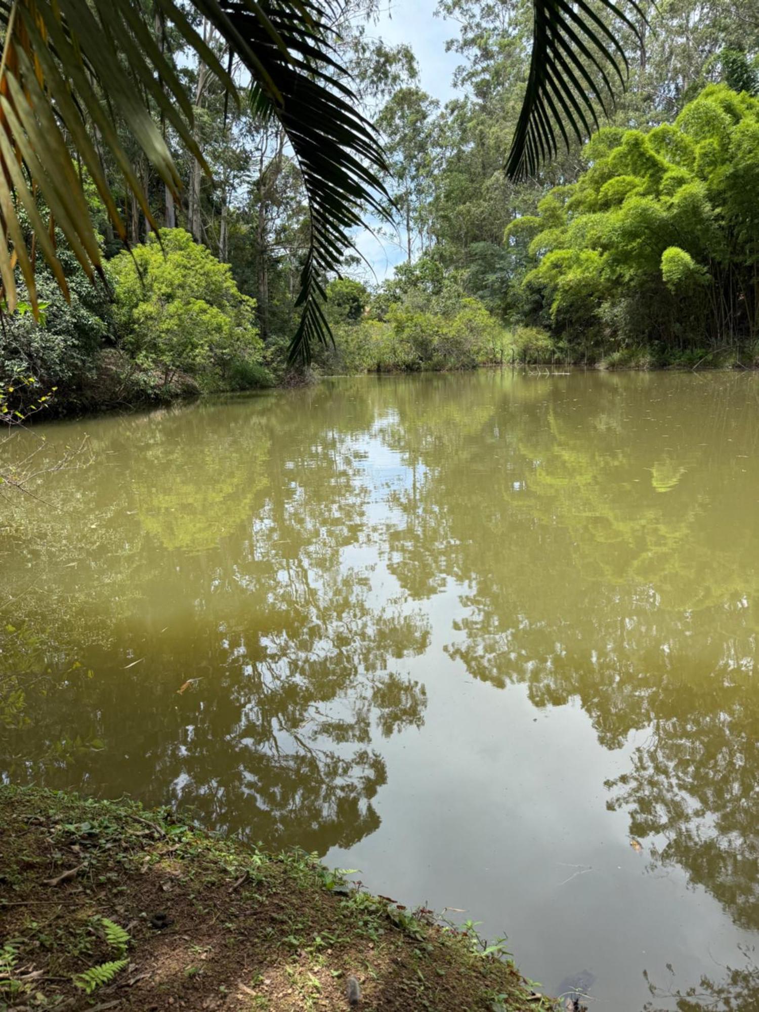 Casarao Verde เซาลูอิส ดู ปาราจิงกา ภายนอก รูปภาพ